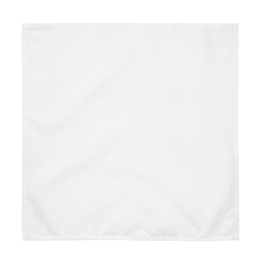 Cloth Napkin Set (4)