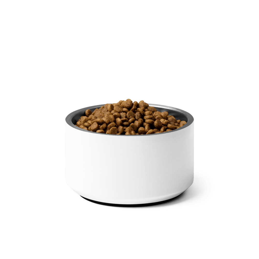 Pet Bowl