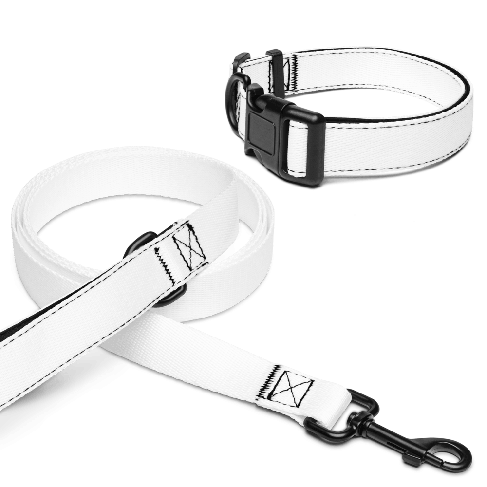 Pet Collar & Leash