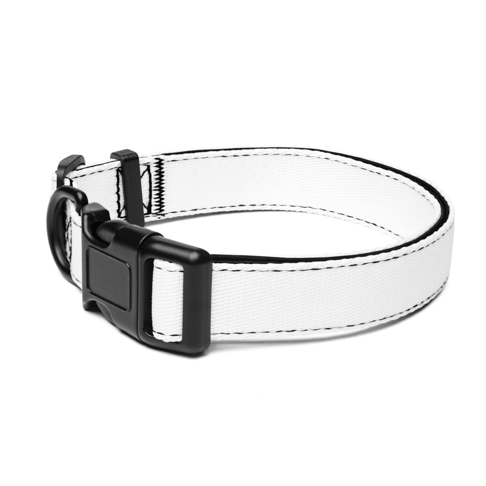 Pet Collar