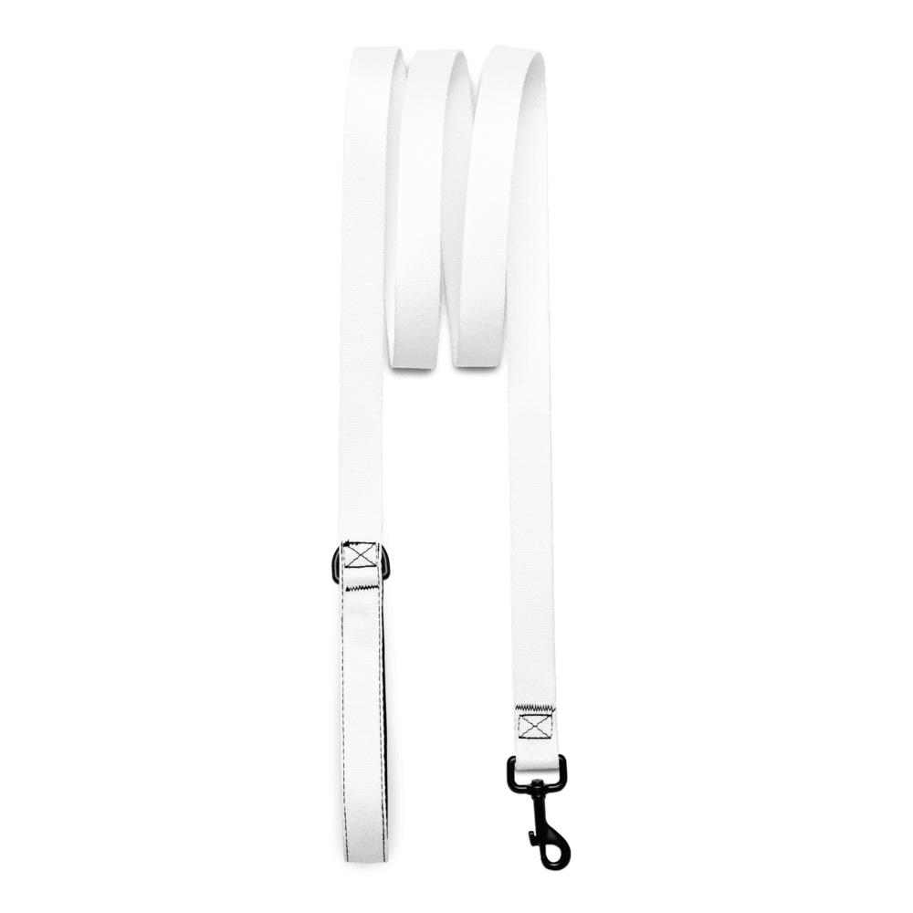 Pet Leash