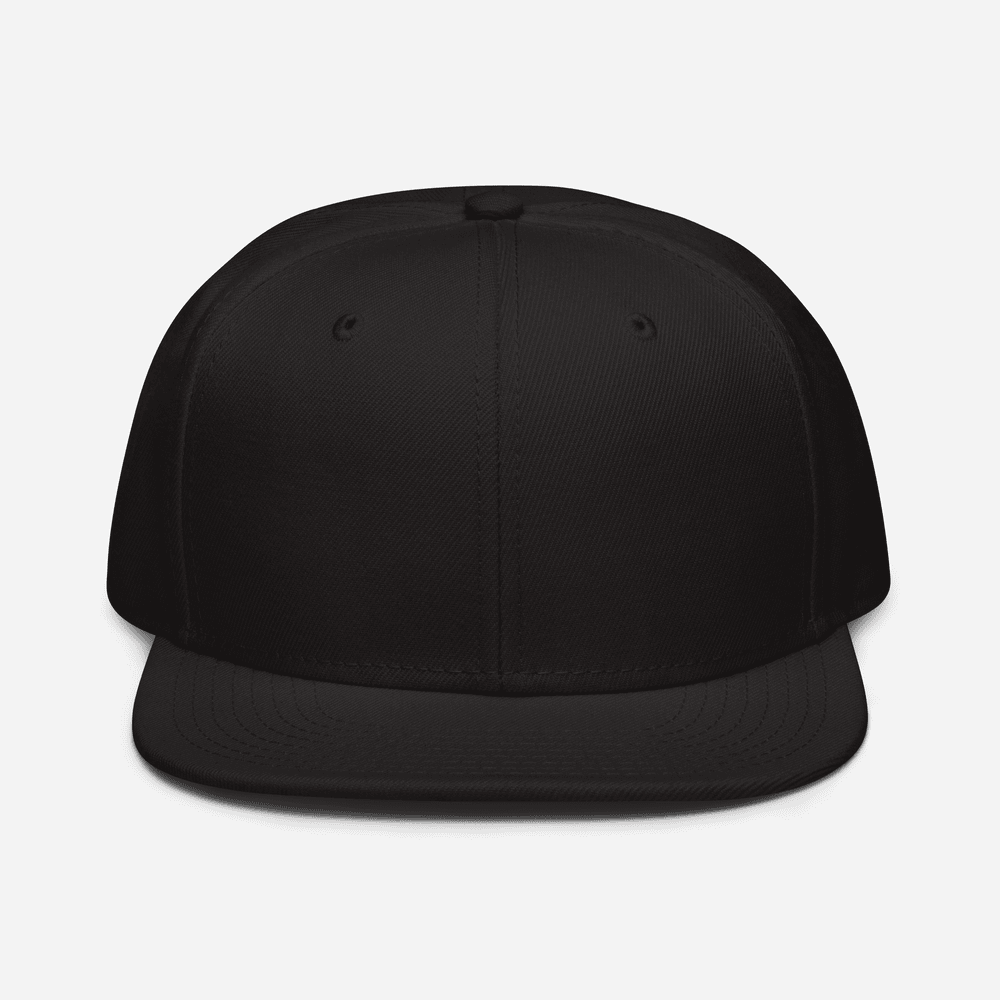 Snapback | Otto Cap 125-978
